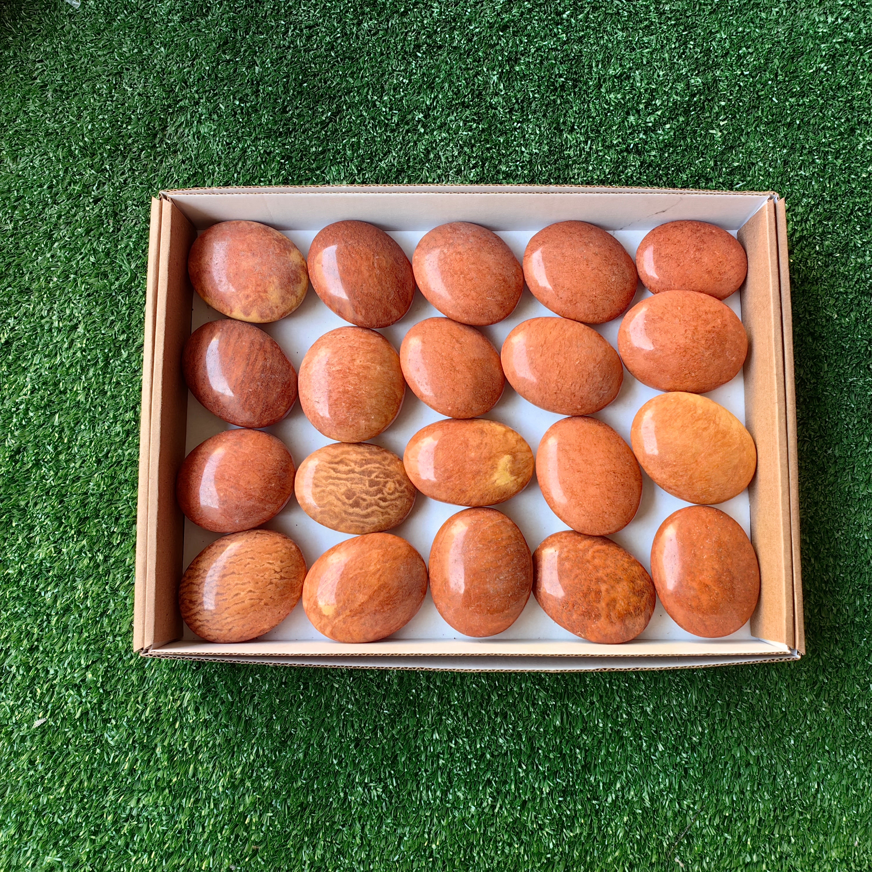 Lot 20 pcs Jaspe Orange Palm