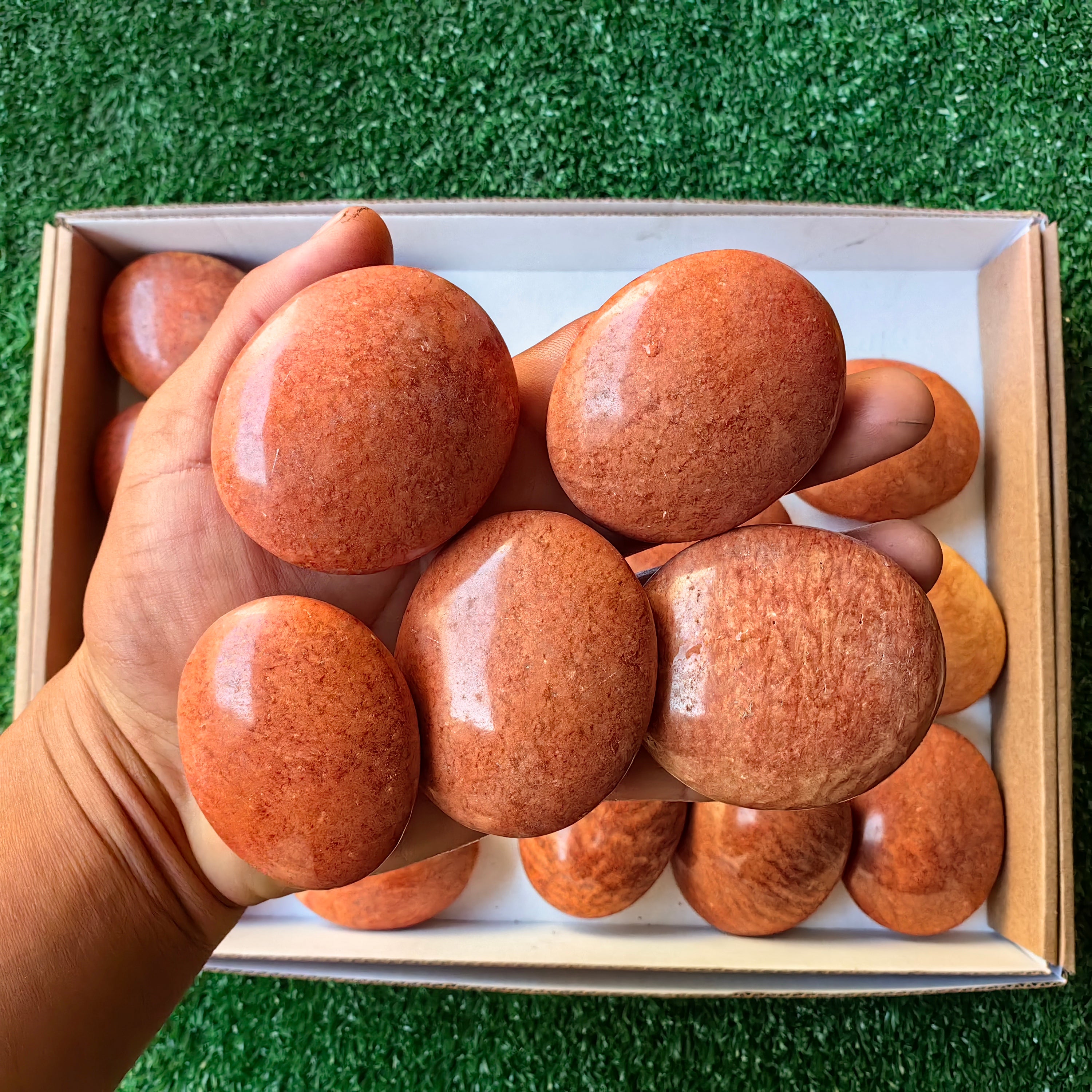 Lot 20 pcs Jaspe Orange Palm