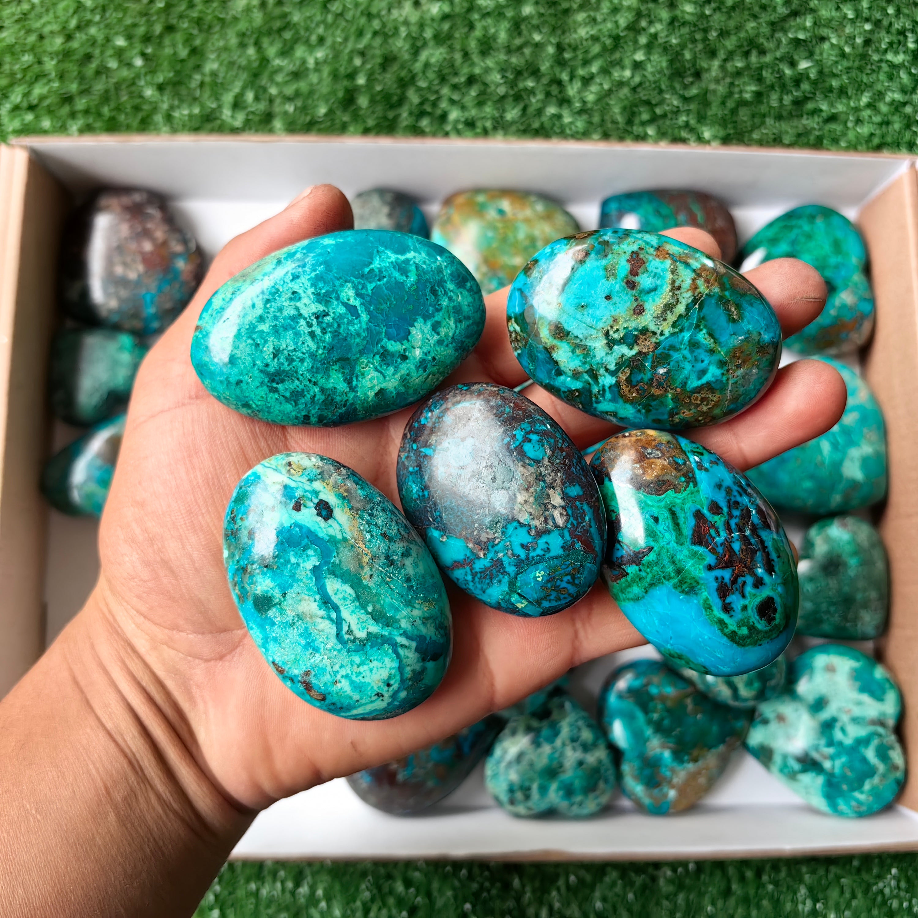 Lot 26 pcs Chrysocolla Palm and Heart