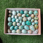 Lot 42 pcs Peruvian Turquoise Egg