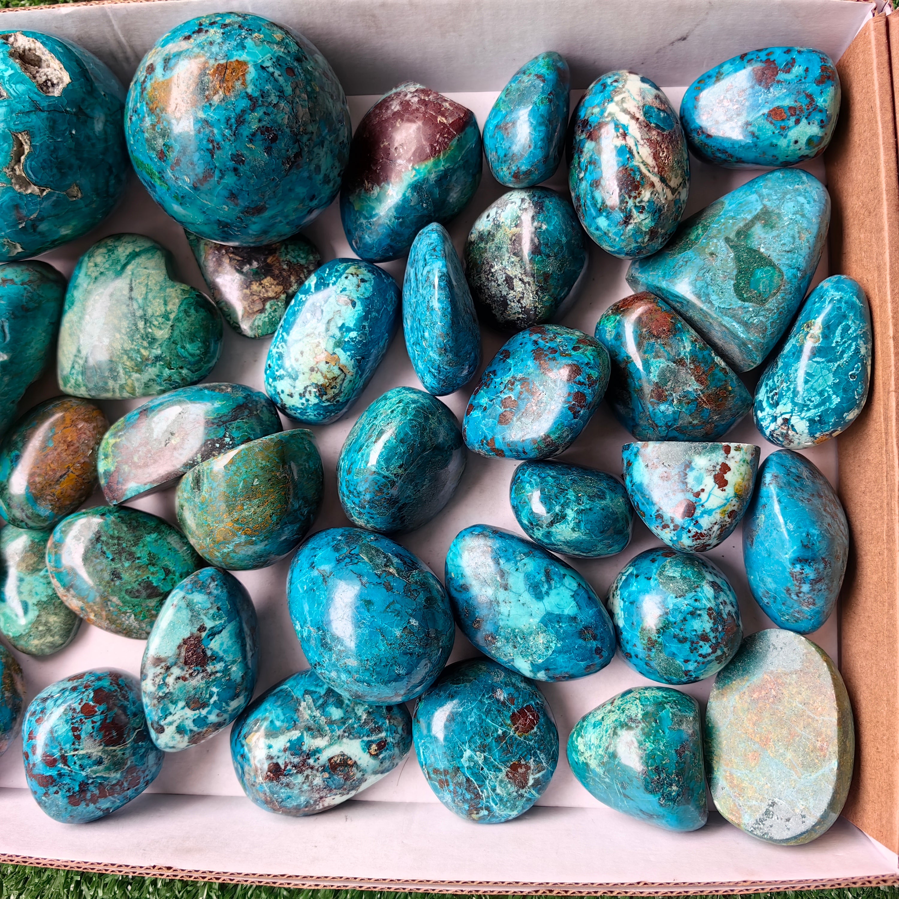 Lot 36 pcs Chrysocolla Free Form