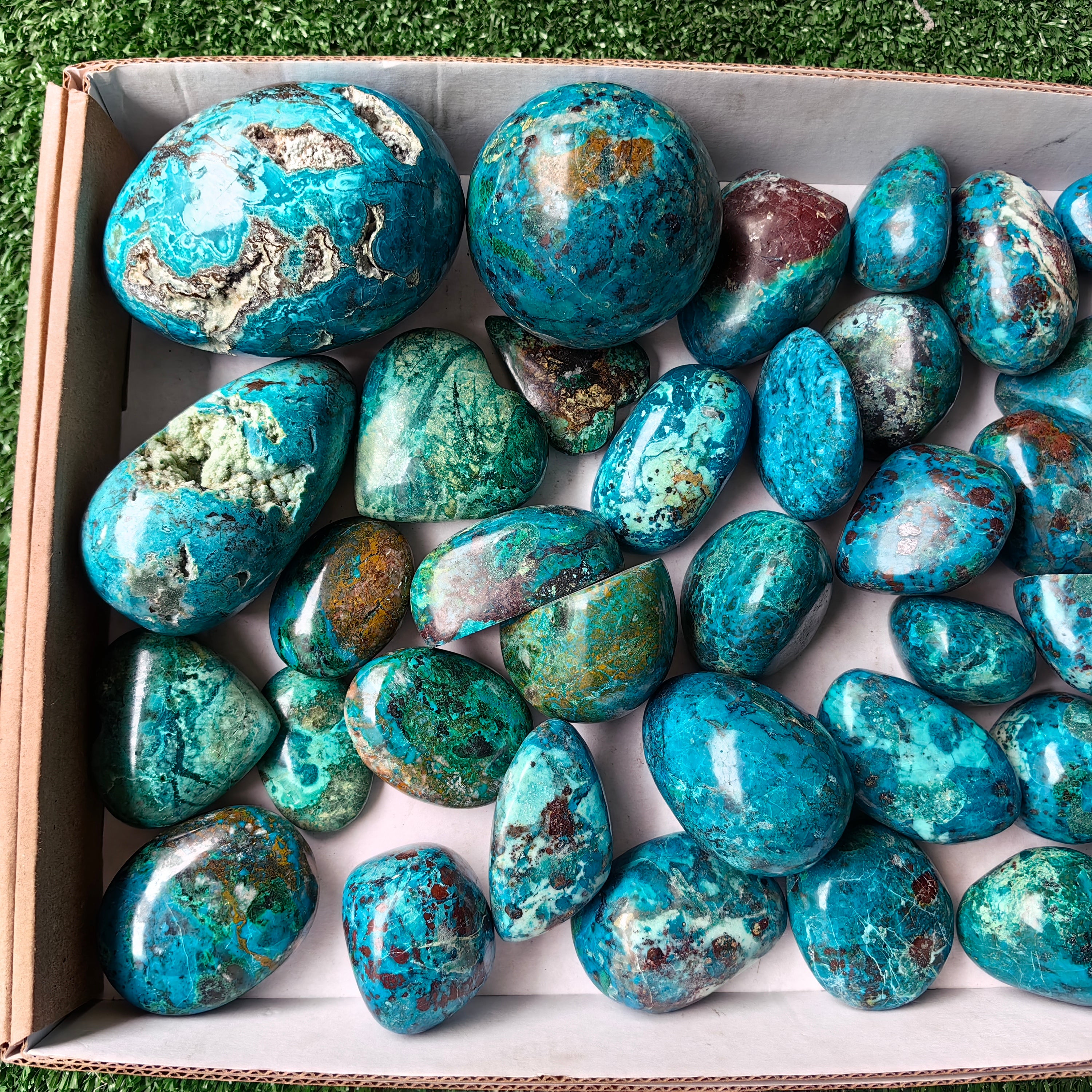 Lot 36 pcs Chrysocolla Free Form