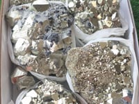 Load video: Lot 7 pcs Pyrite with Galena, Huanzala Mine, Peru
