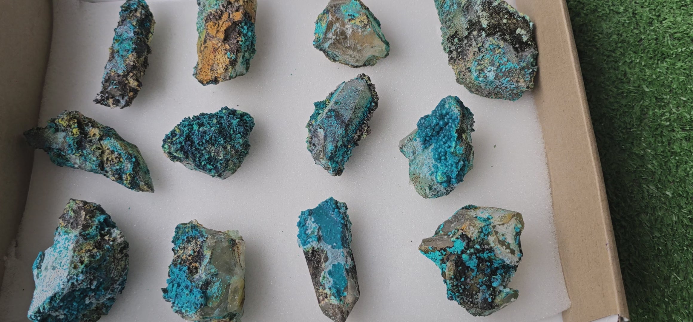Load video: Lot 12 Chrysocolla on Quartz
