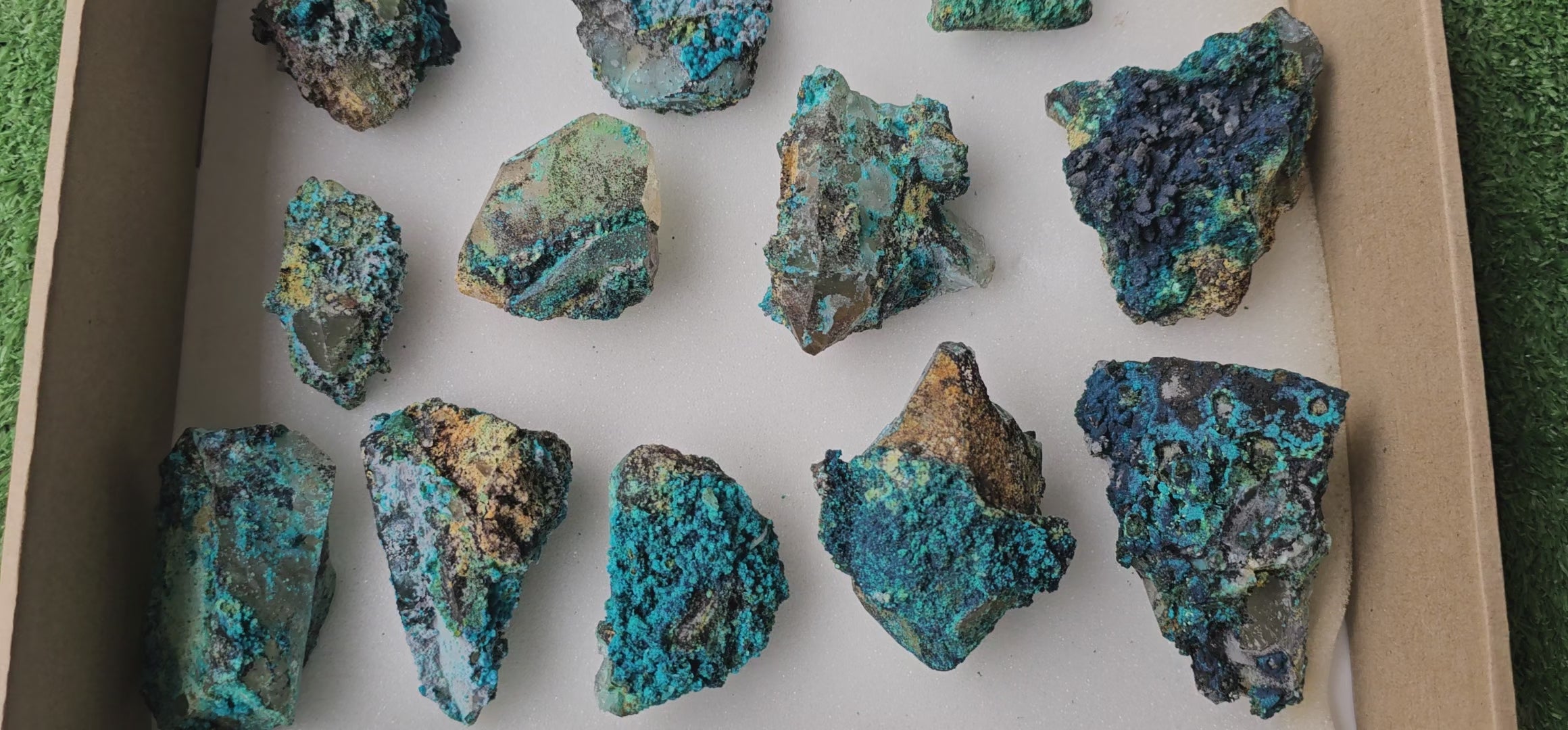 Load video: Lot 12 Chrysocolla on Quartz