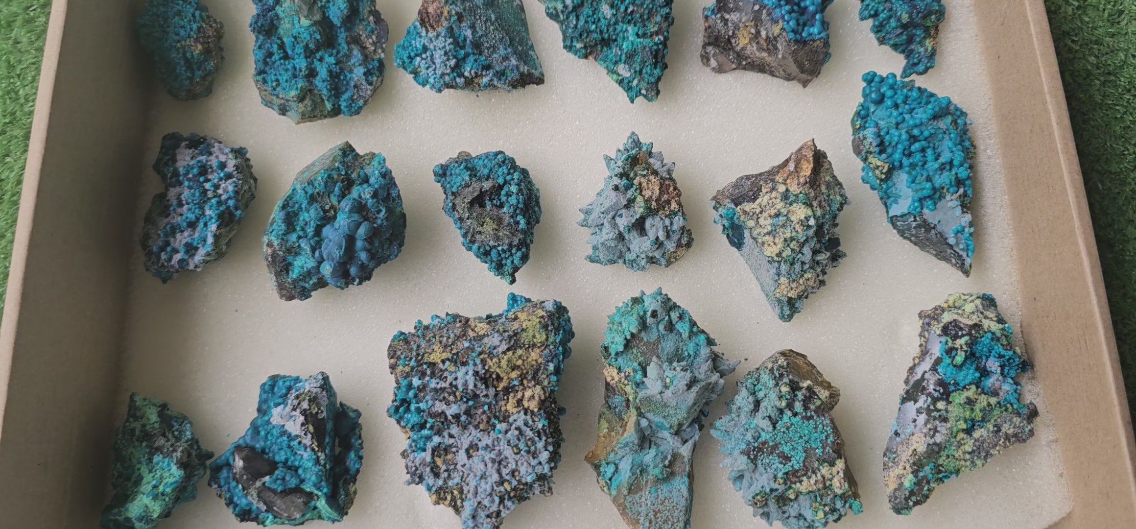 Load video: Lot 18 Chrysocolla on Quartz