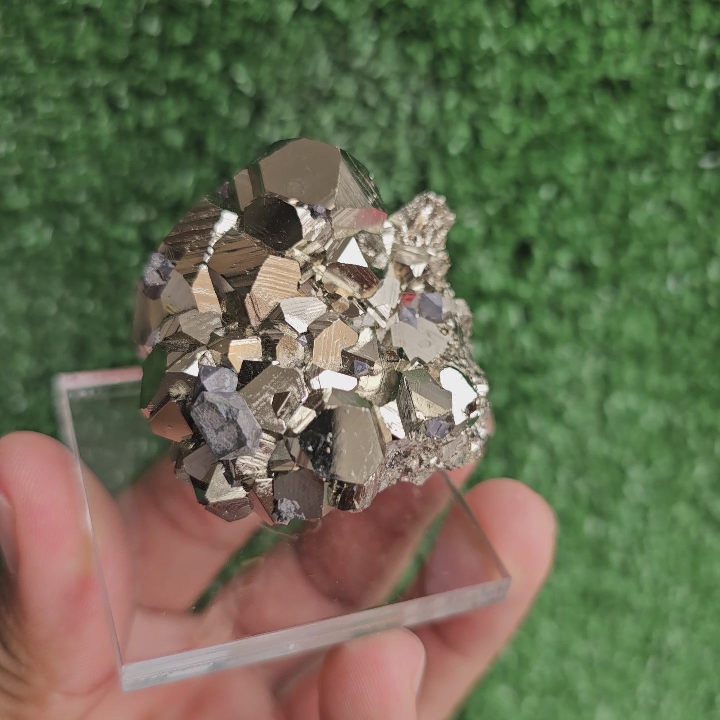Load video: Pyrite octahedral