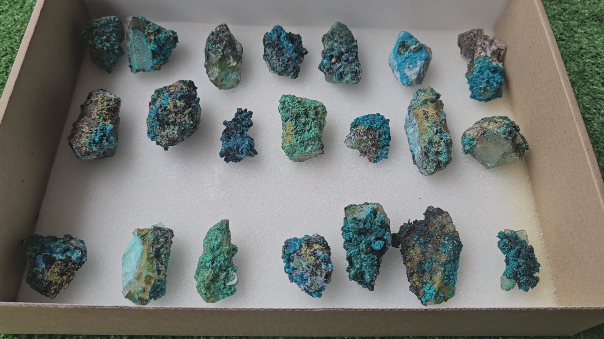 Load video: Lot 21 Chrysocolla on Quartz