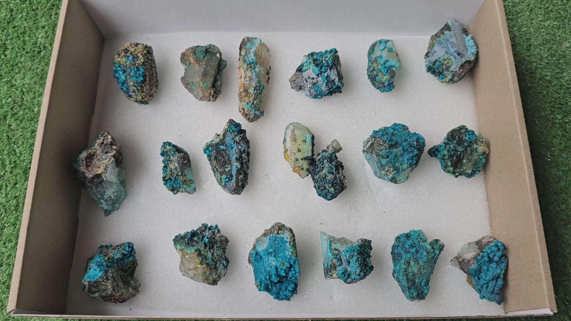 Load video: Lot 18 Chrysocolla on Quartz