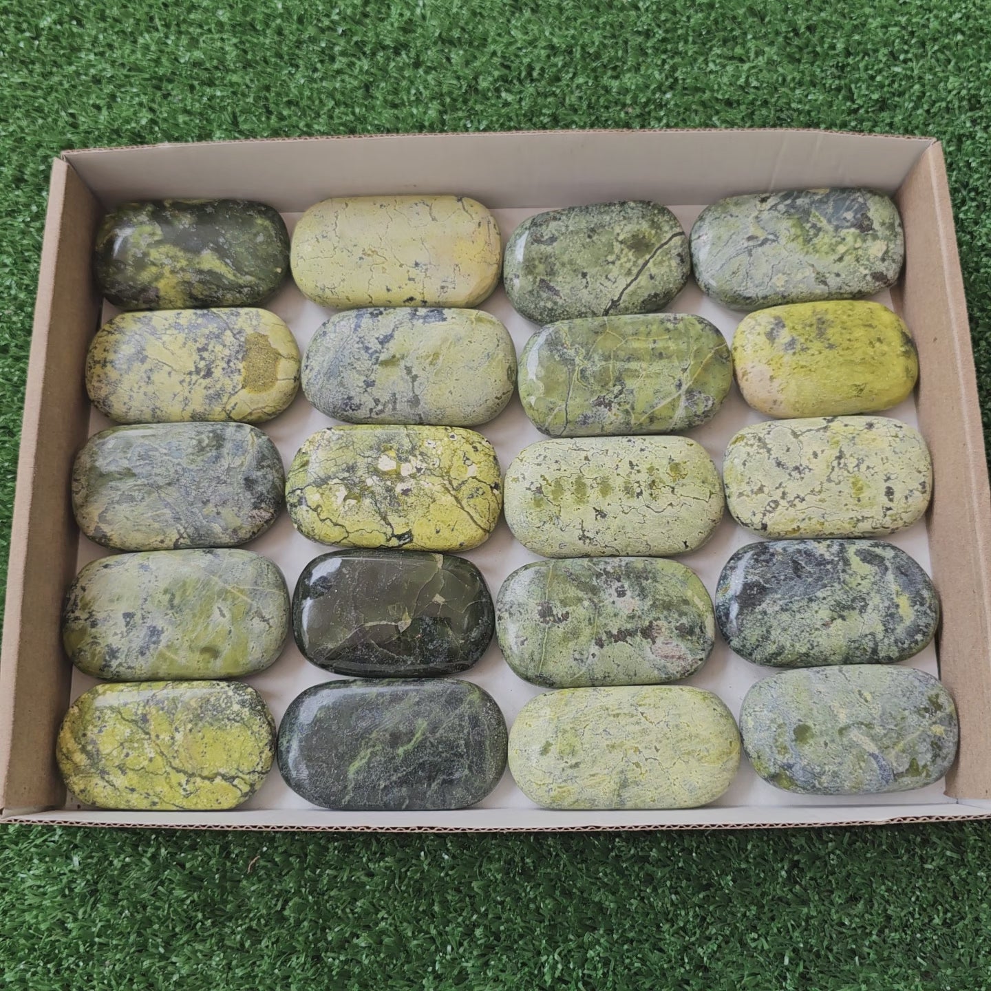 Load video: 20 pc green serpentine palms