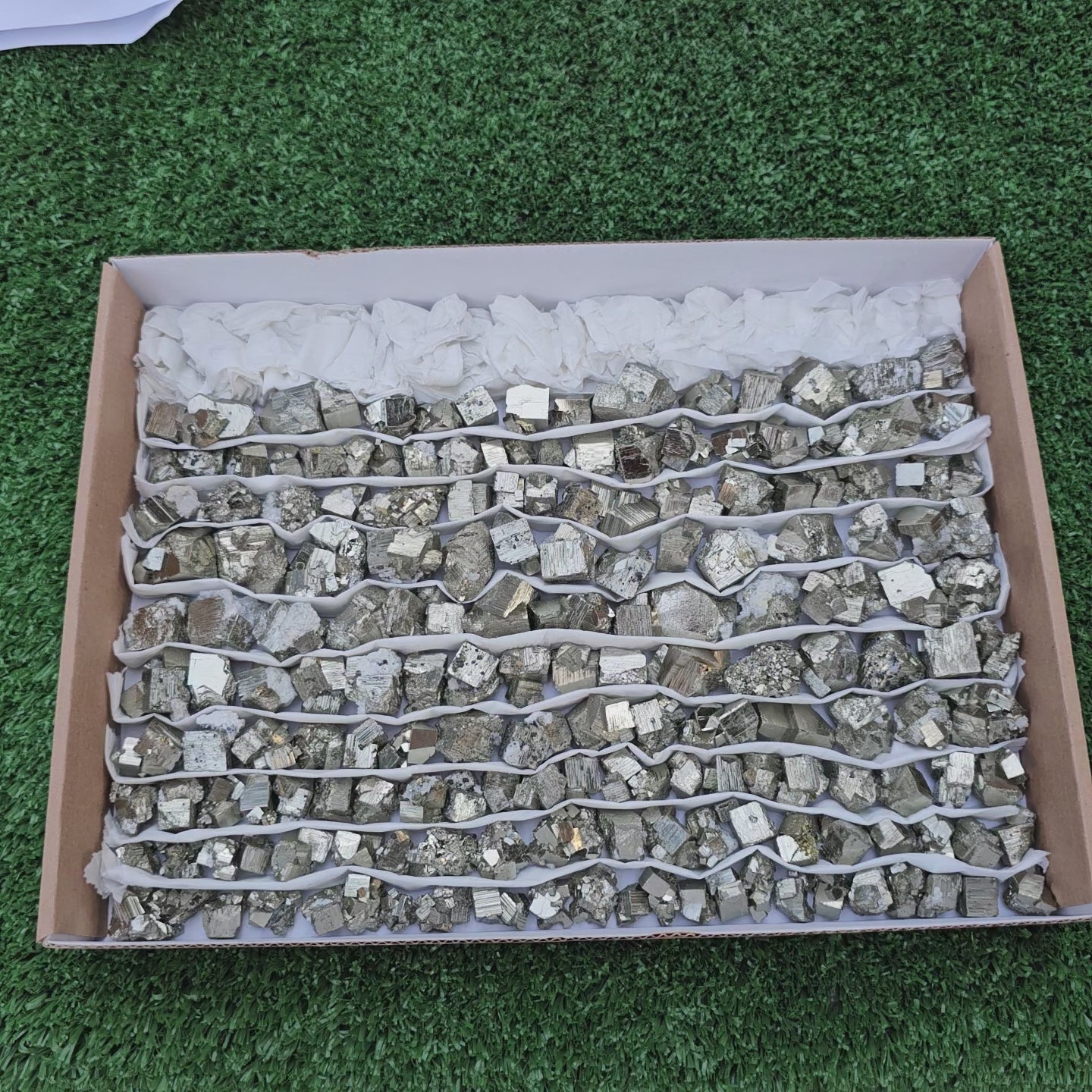 Load video: 170 pc Pyrite Cubic