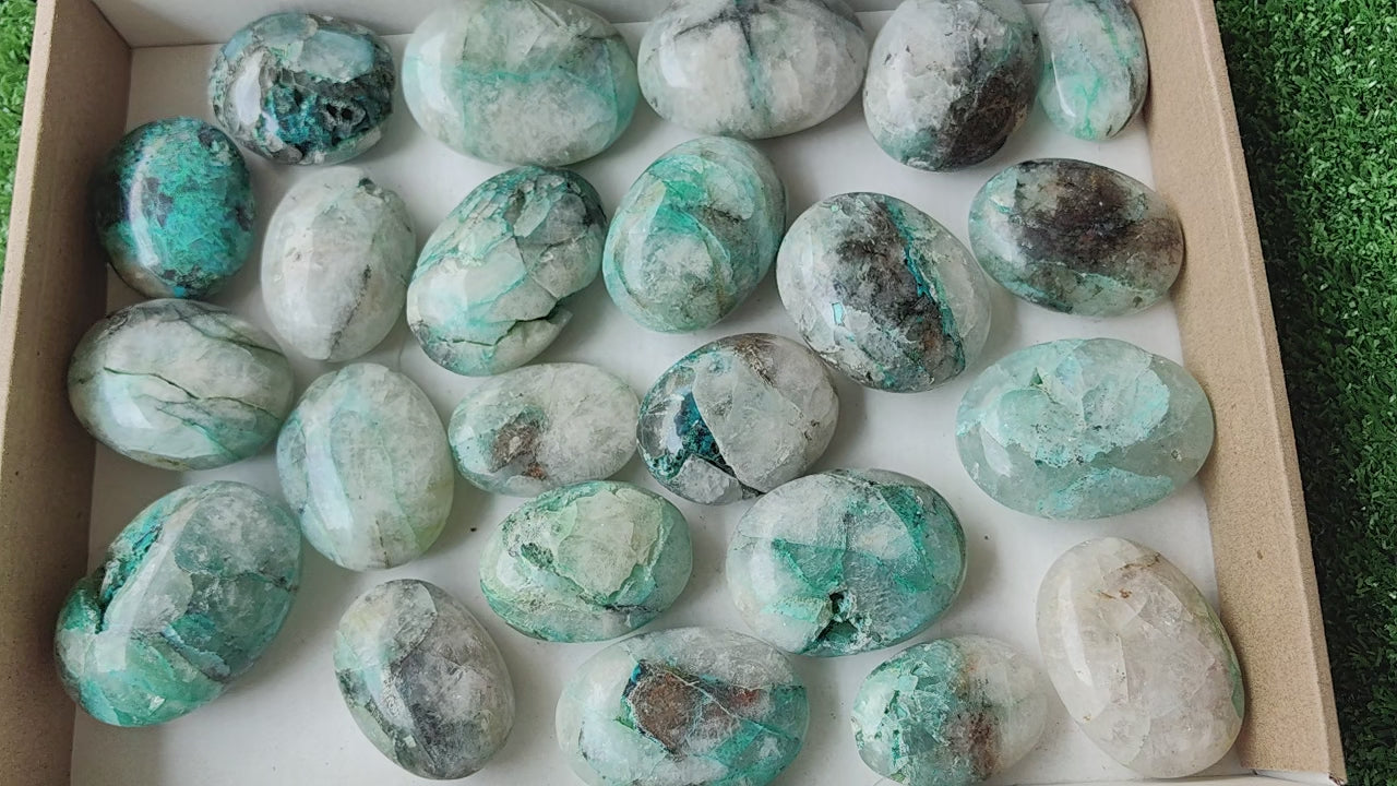 Load video: 23 pcs Chrysocolla Quartz Palm