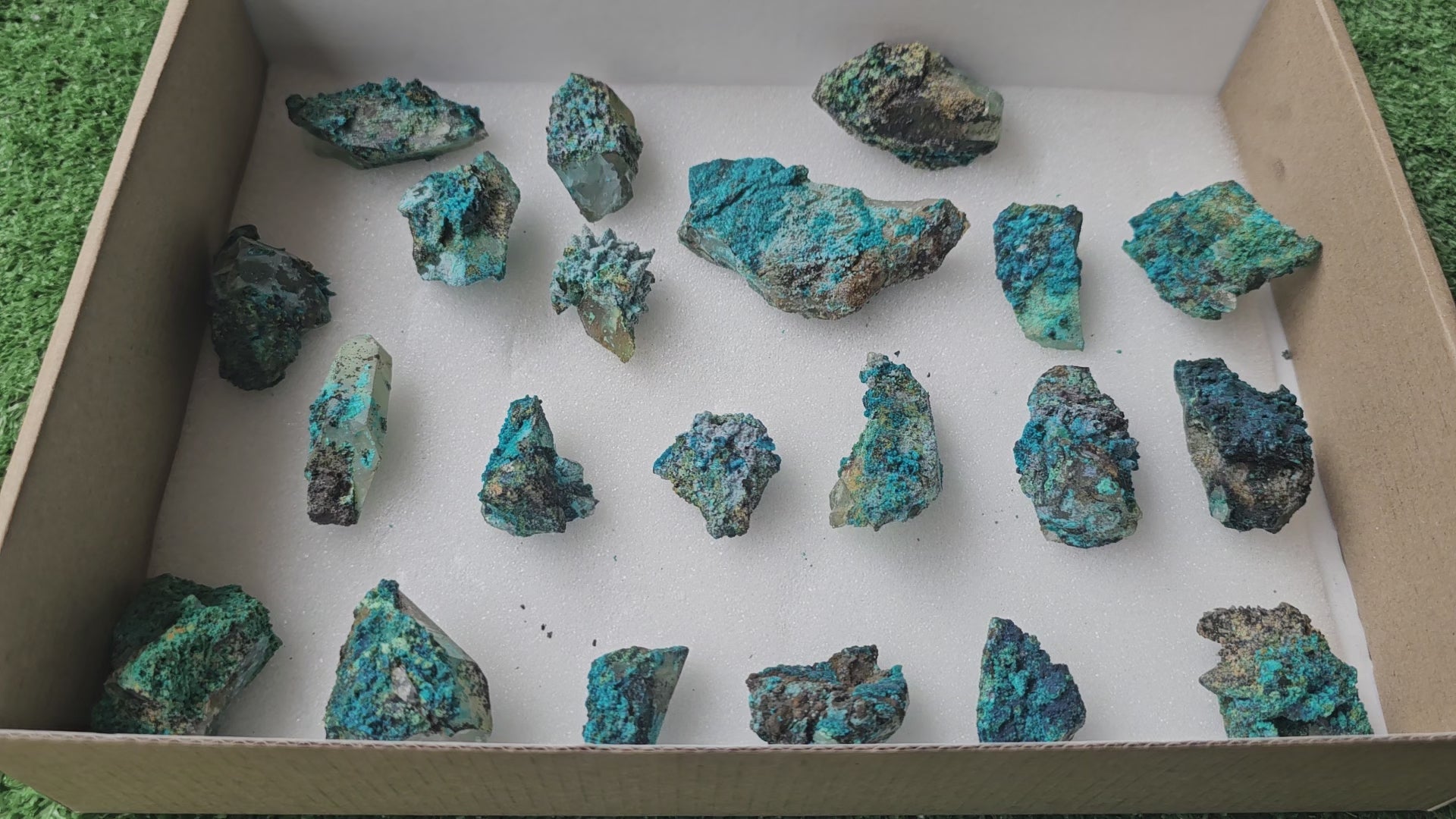 Load video: Lot 21 Chrysocolla on Quartz