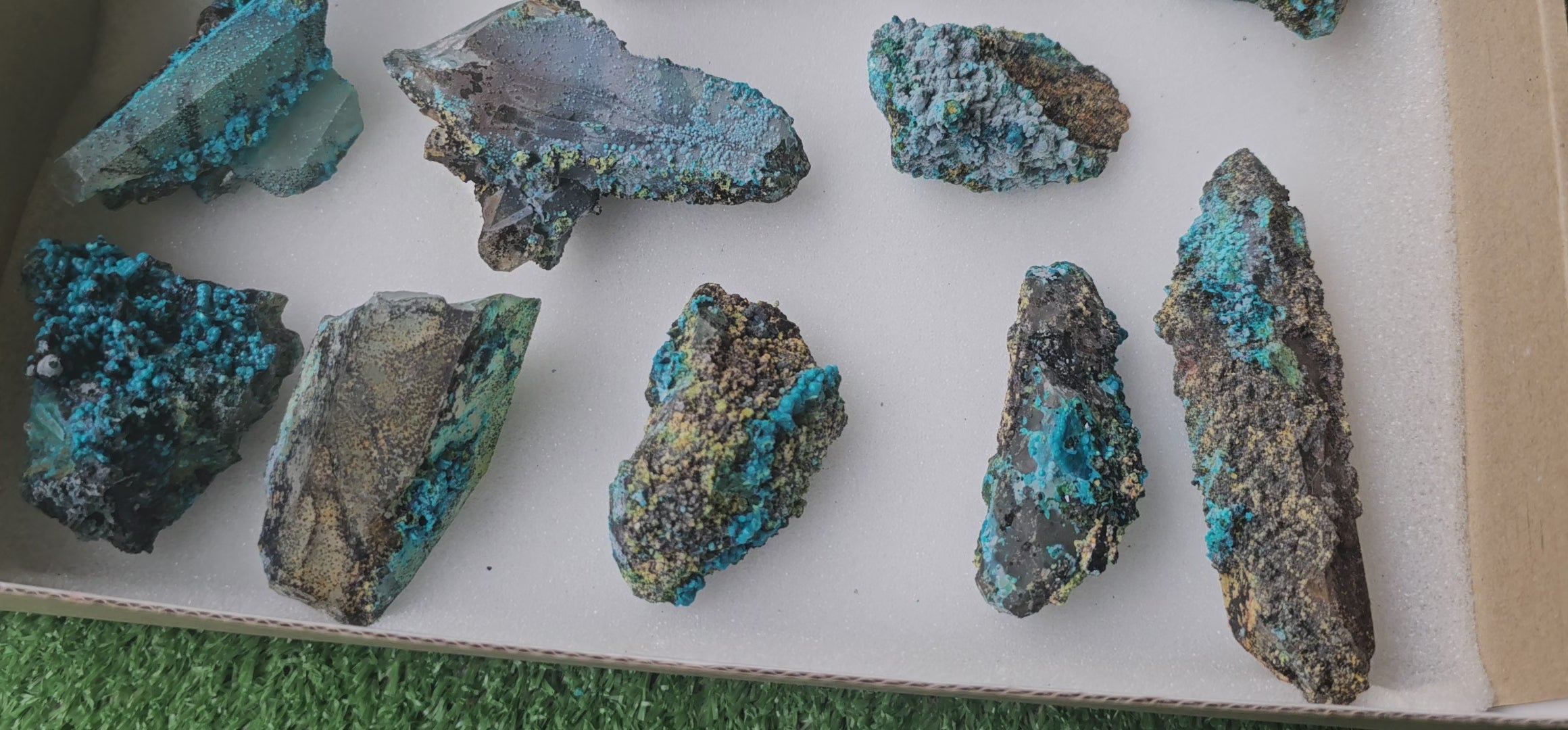 Load video: Lot 12 Chrysocolla on Quartz