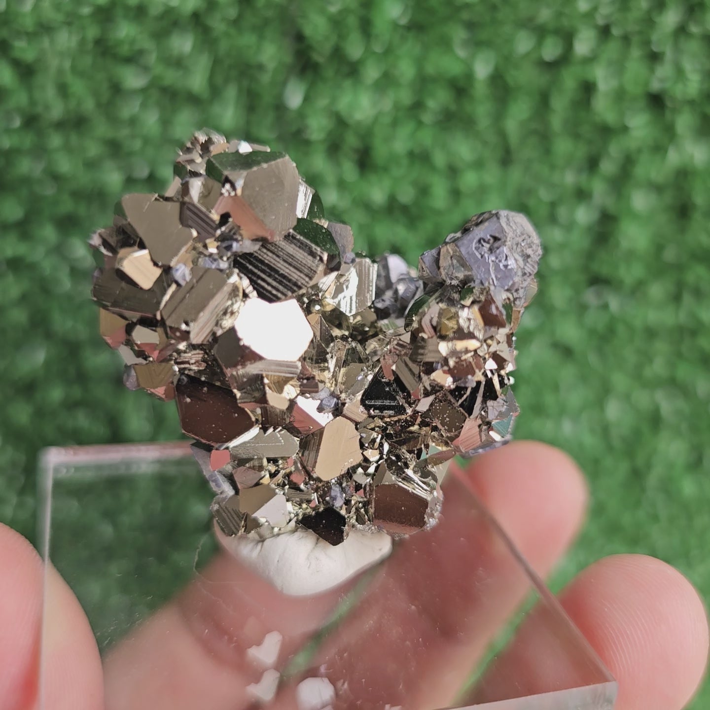 Load video: Pyrite octahedral
