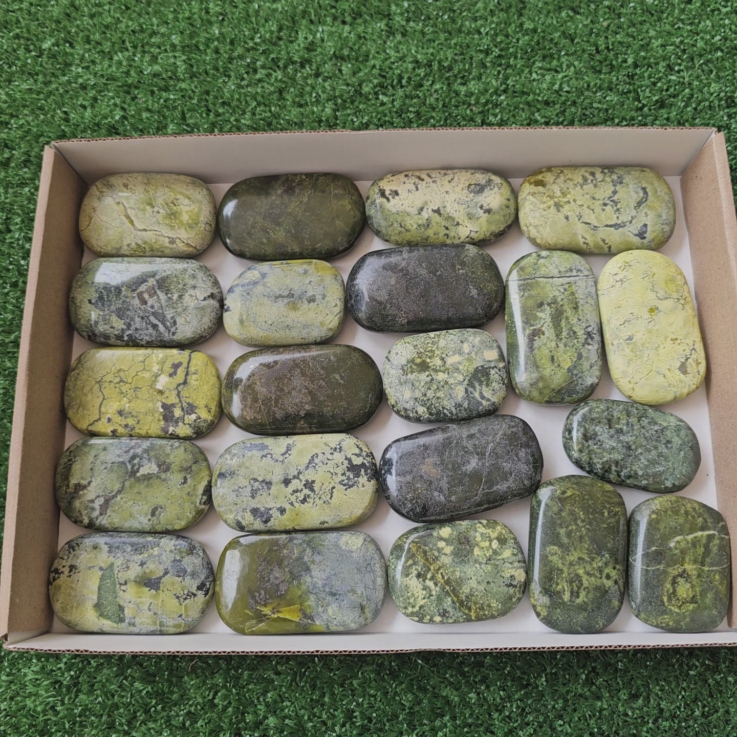 Load video: 21 pc green serpentine palms