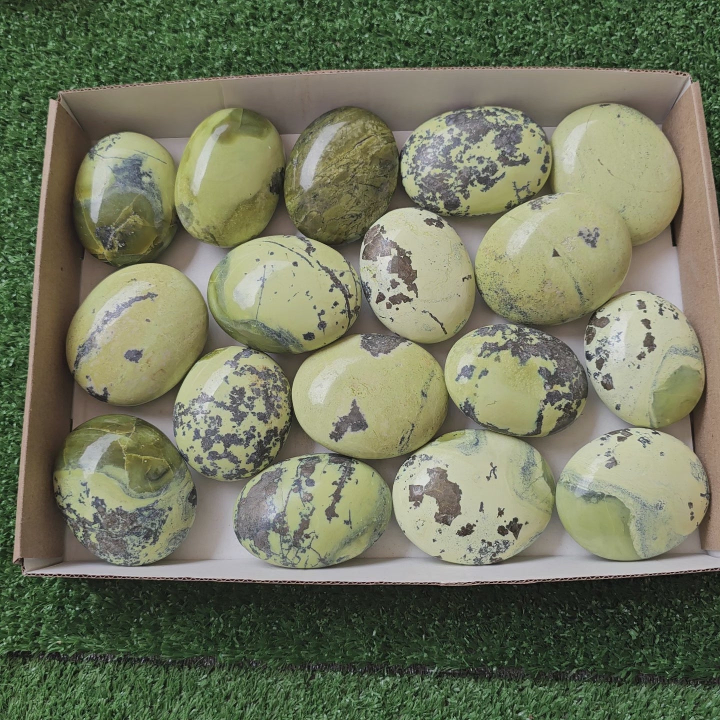 Load video: 17 pc green serpentine palms