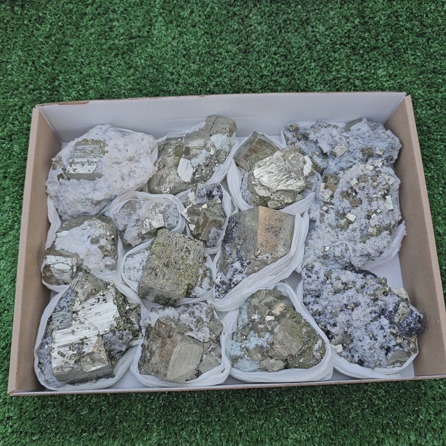 Load video: 14 pc Pyrite Cubic with calcite flourecent