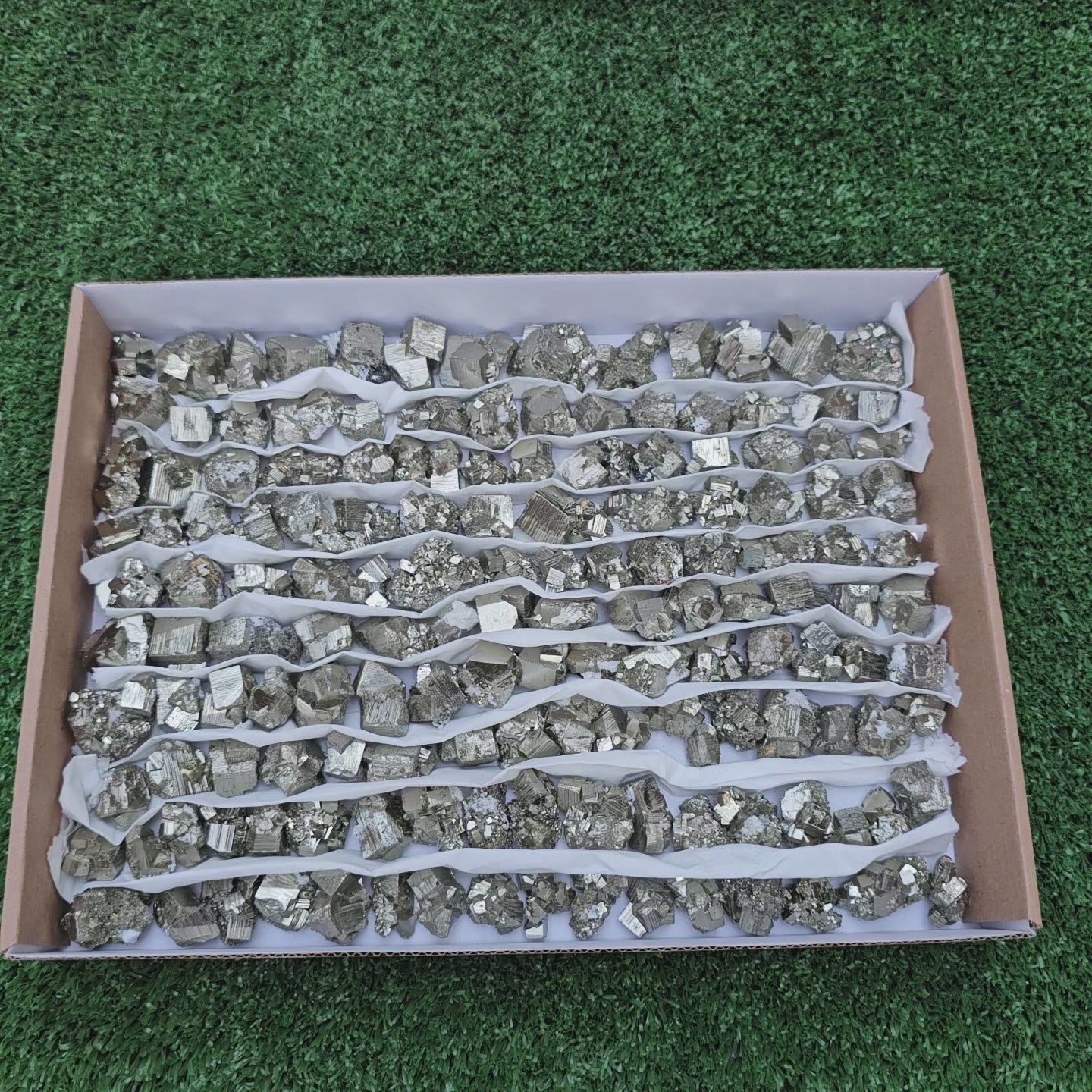 Load video: 150 pc Box Pyrite Cubic