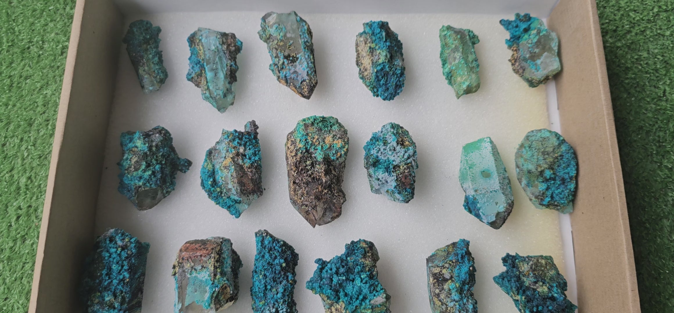 Load video: Lot 18 Chrysocolla on Quartz