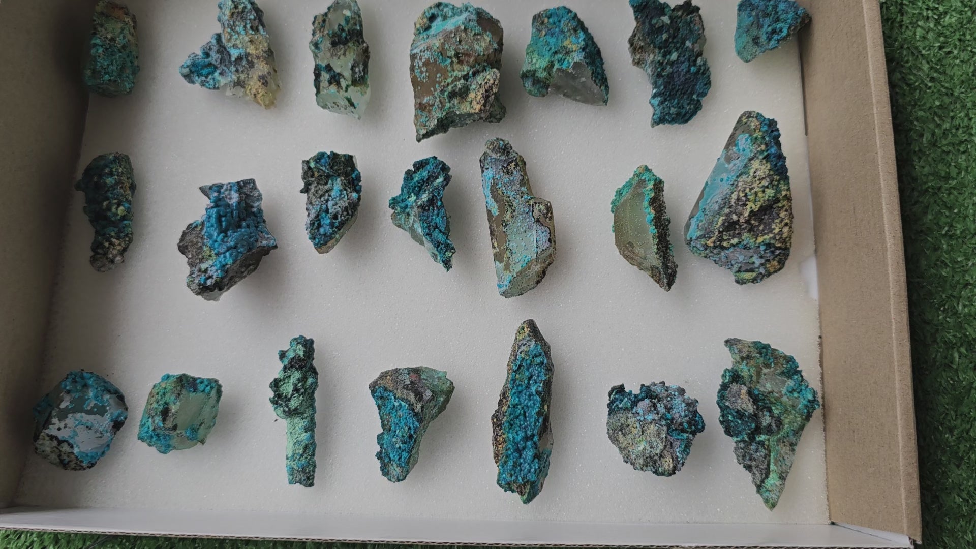 Load video: Lot 21 Chrysocolla on Quartz