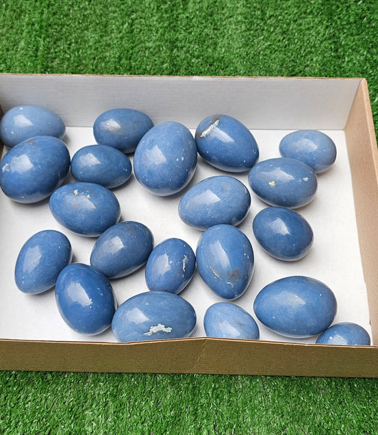 Lot 20 eggs Angelite*