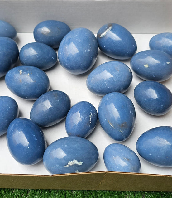 Lot 20 eggs Angelite*