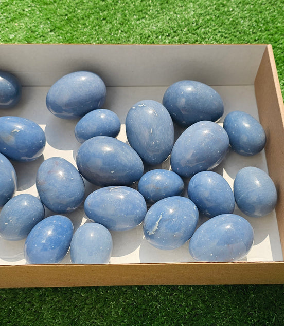 Lot 20 eggs Angelite**
