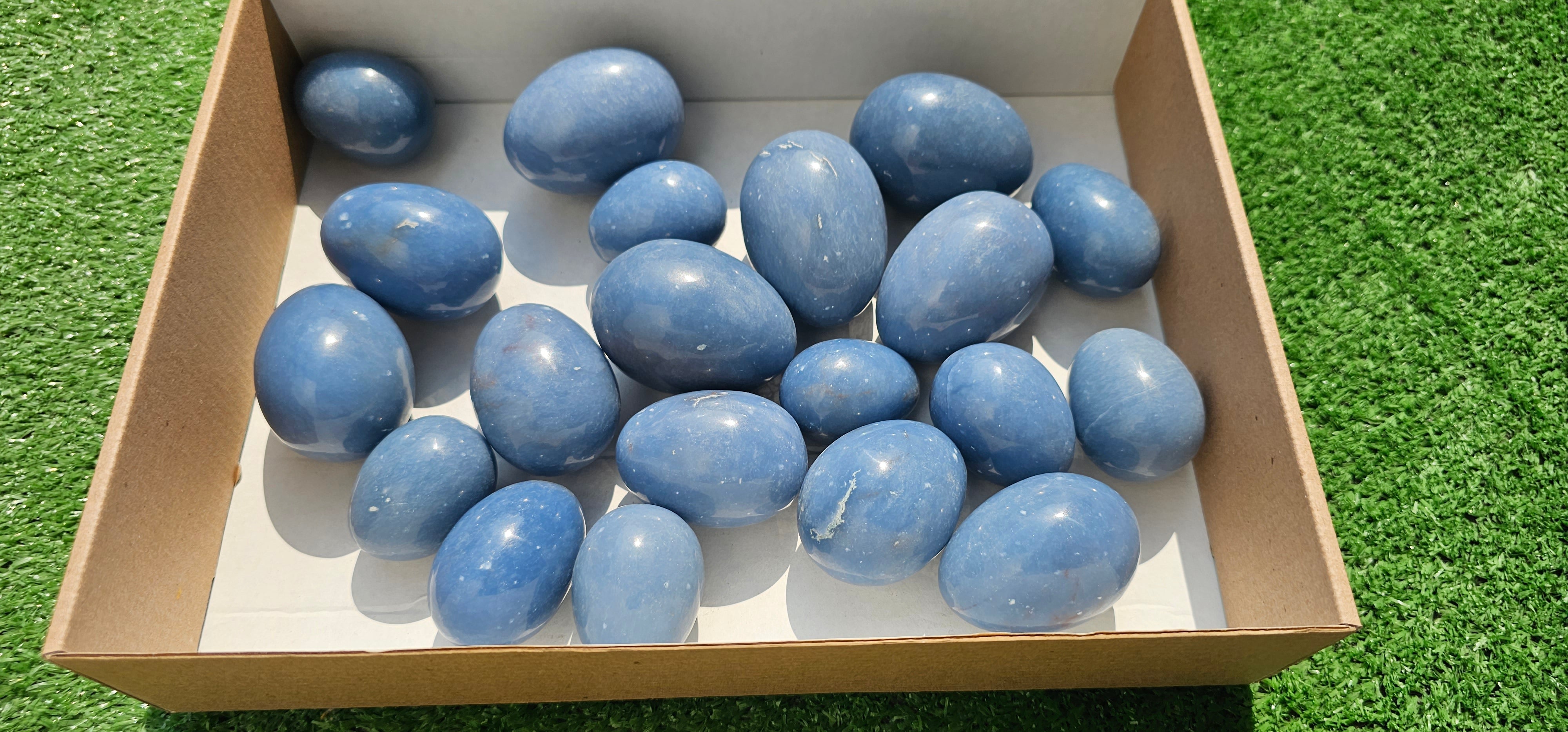 Lot 20 eggs Angelite**