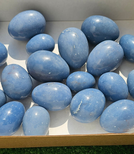 Lot 20 eggs Angelite**
