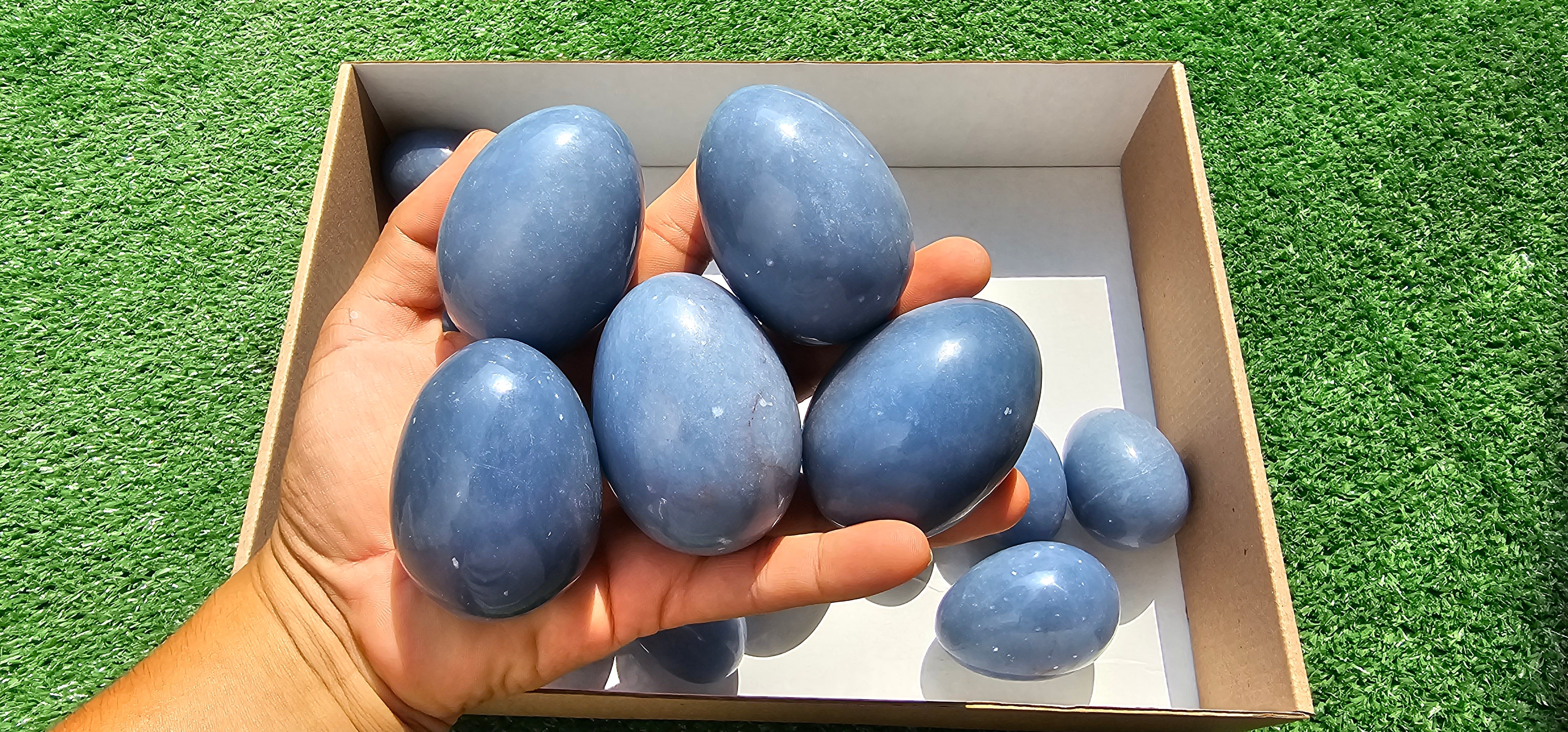 Lot 20 eggs Angelite**