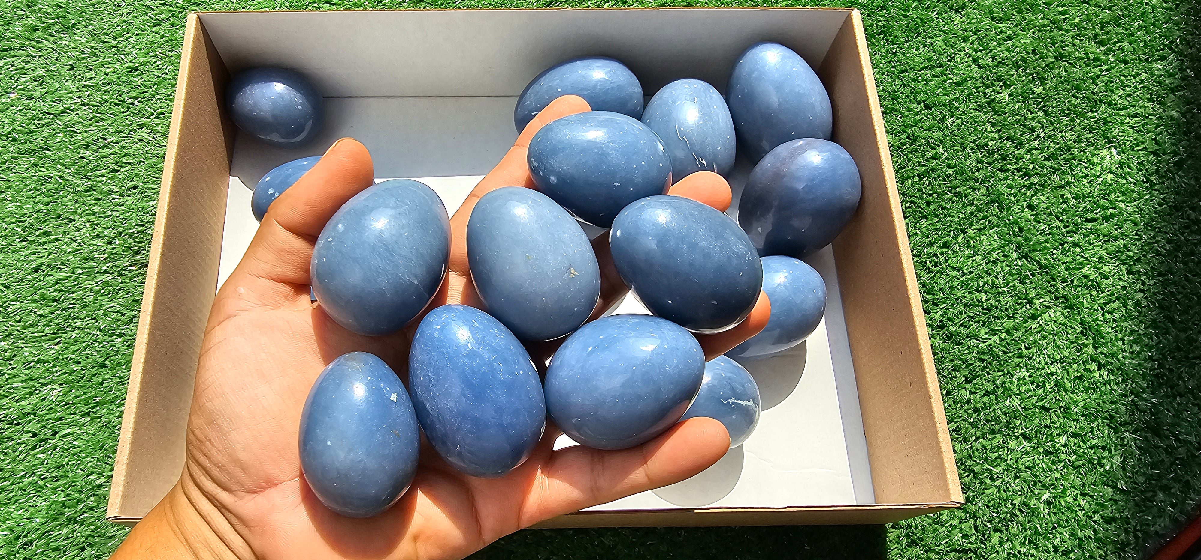 Lot 20 eggs Angelite**