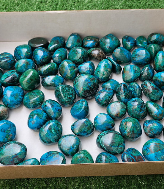 Lot 2 kg Tumbled Chrysocolla***