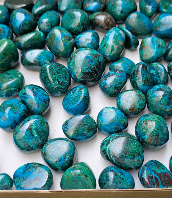 Lot 2 kg Tumbled Chrysocolla***