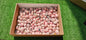 Lot 2.5 kg Tumbled Rhodonite