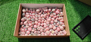 Lot 2.5 kg Tumbled Rhodonite