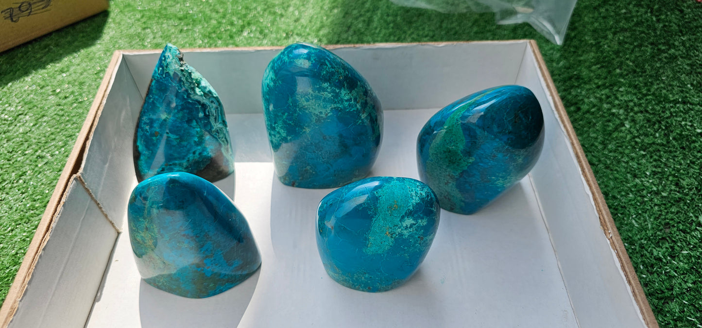 Lot 5 Free form Chrysocolla