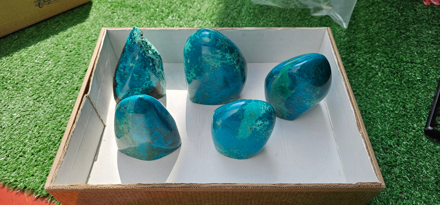 Lot 5 Free form Chrysocolla