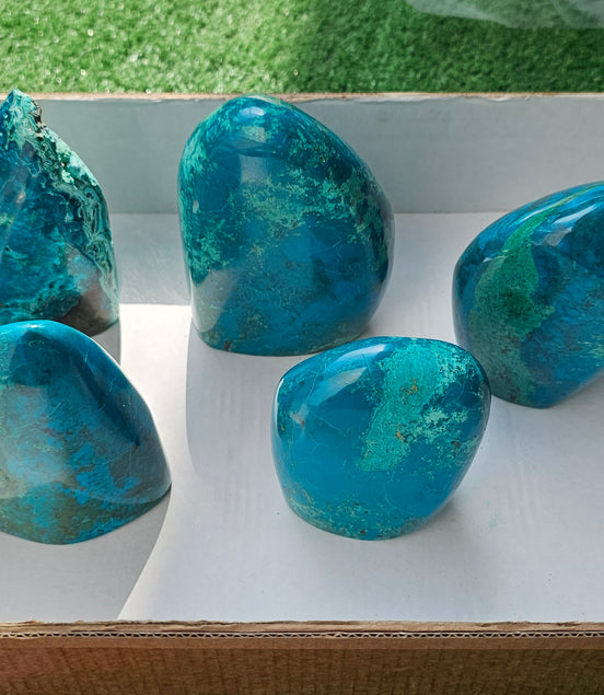 Lot 5 Free form Chrysocolla
