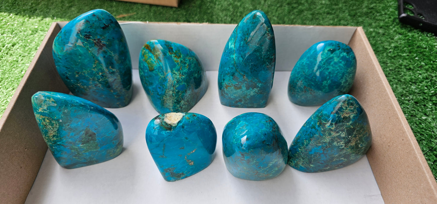 Lot 5 Free form Chrysocolla