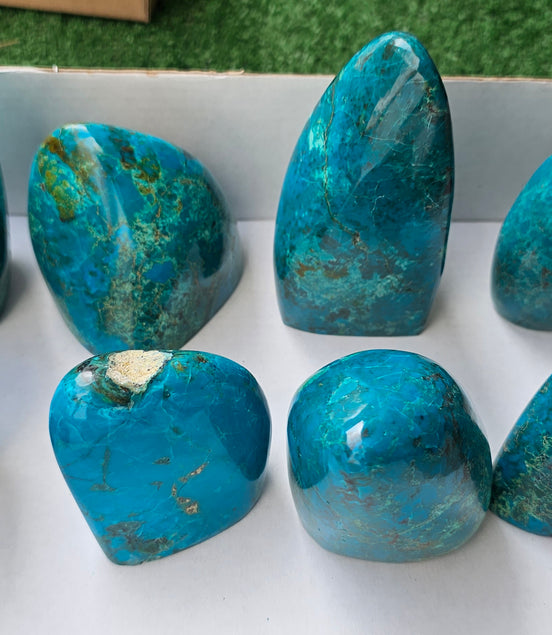 Lot 5 Free form Chrysocolla