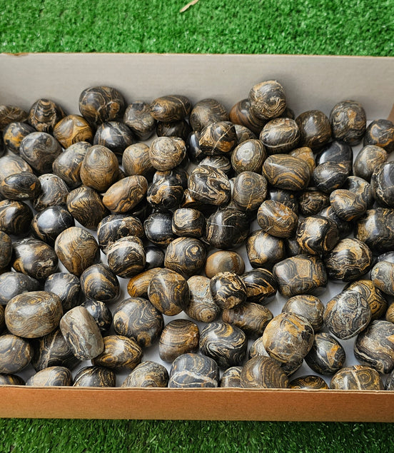 Lot 2.5 kg Tumbled Stromatolite