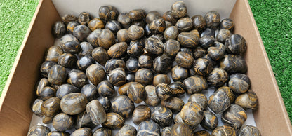Lot 2.5 kg Tumbled Stromatolite