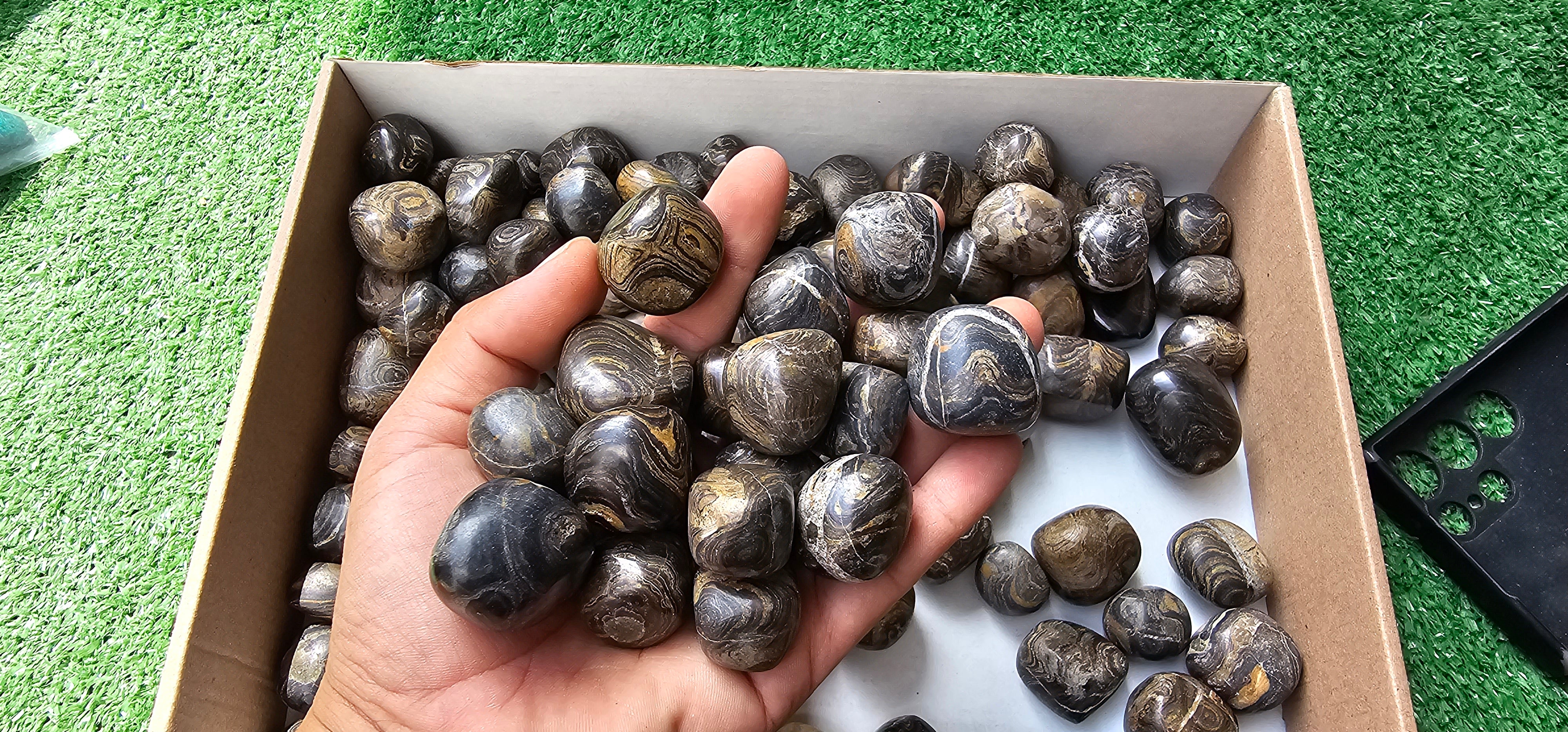 Lot 2.5 kg Tumbled Stromatolite