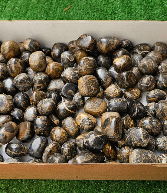 Lot 2.5 kg Tumbled Stromatolite