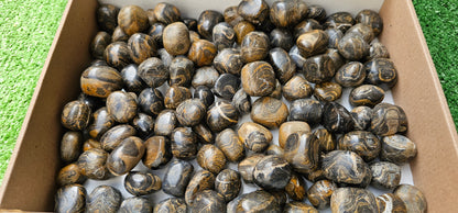Lot 2.5 kg Tumbled Stromatolite