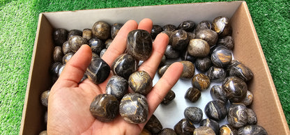 Lot 2.5 kg Tumbled Stromatolite
