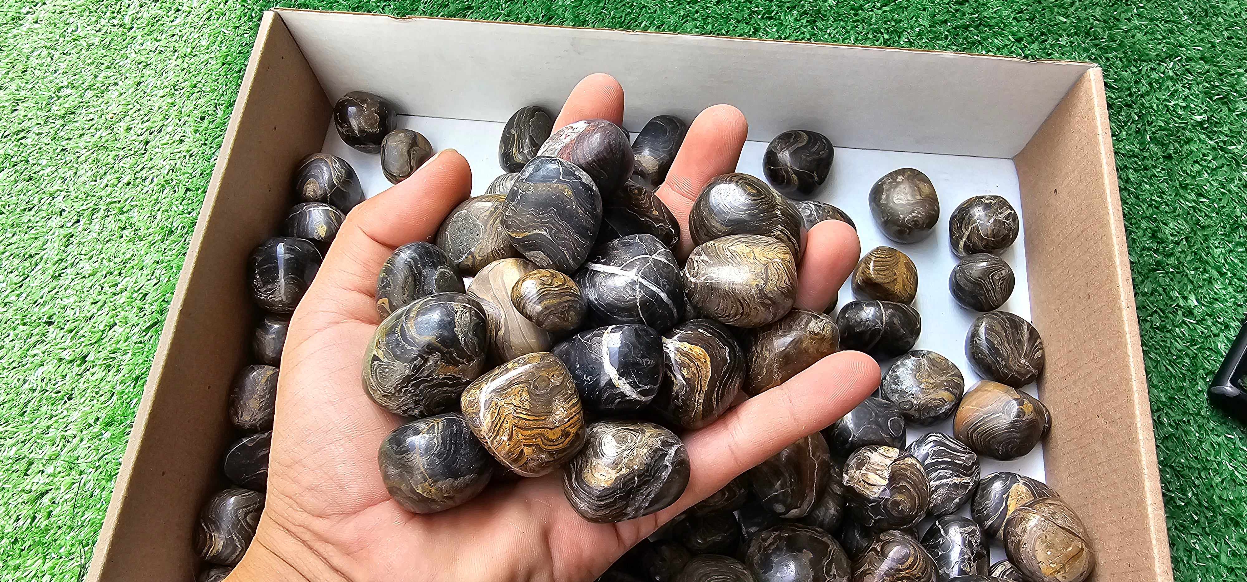 Lot 2.5 kg Tumbled Stromatolite