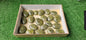 Lot 21 Palms Epidote