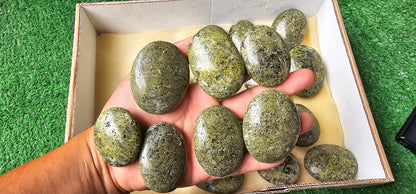 Lot 21 Palms Epidote